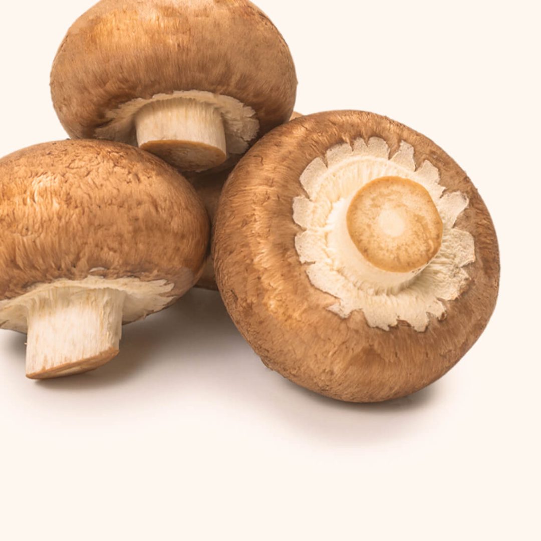 Champignon - Image 2