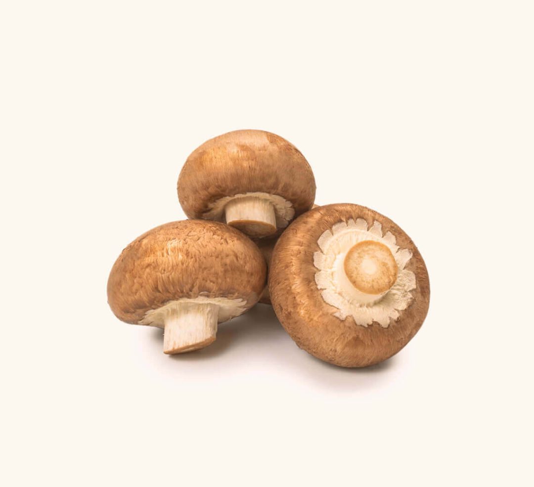 Champignon