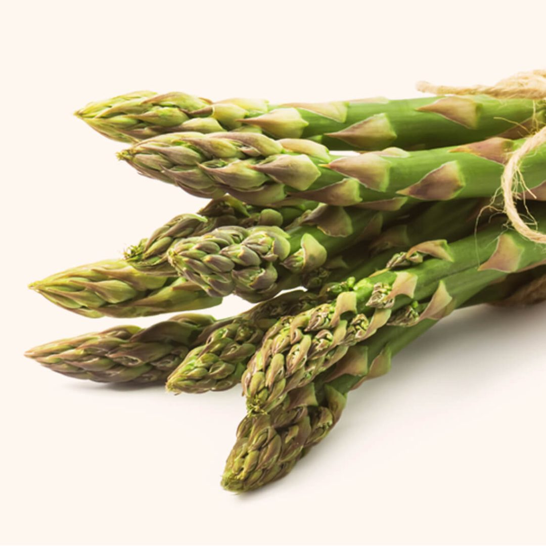 Asparagus - Image 2