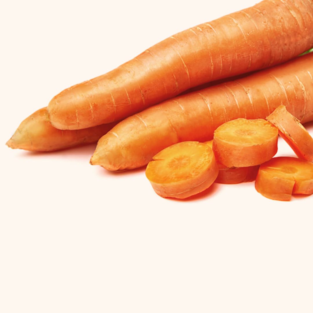Carrot - Image 2