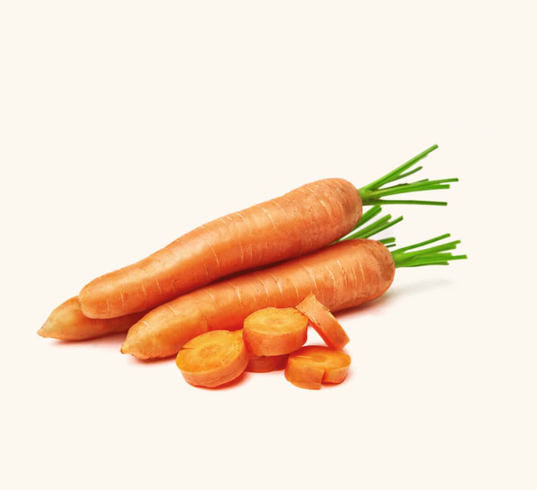 Carrot