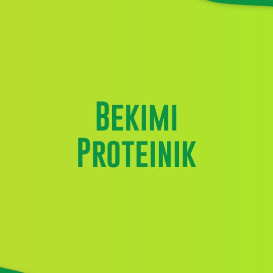 Bekimi Proteinik
